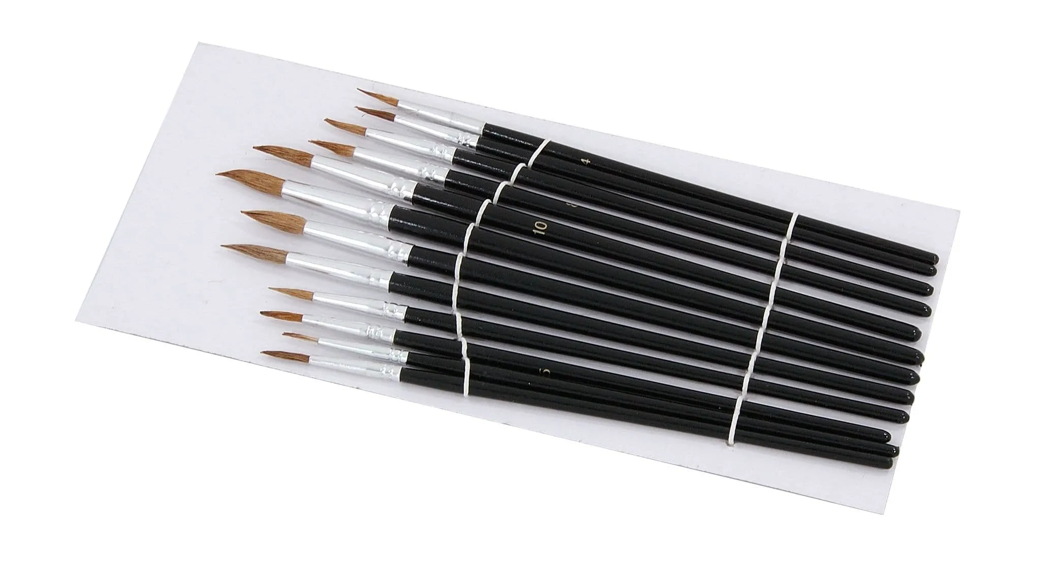 12 Artists Paint Brushes Pointed Fine Detail Bristle Art Model Pottery Craft Set
