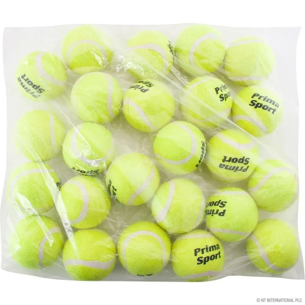24 New Tennis Balls Yellow Ball Games Dog Pet Toy Pets Bouncing Sports Games Fun
