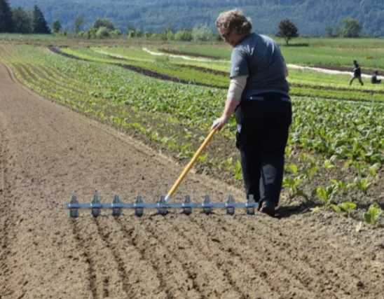 Glaser Adjustable Row Markers