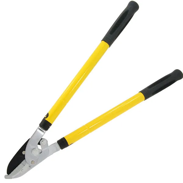 CT3461 - Ratchet Telescopic Tree Lopper