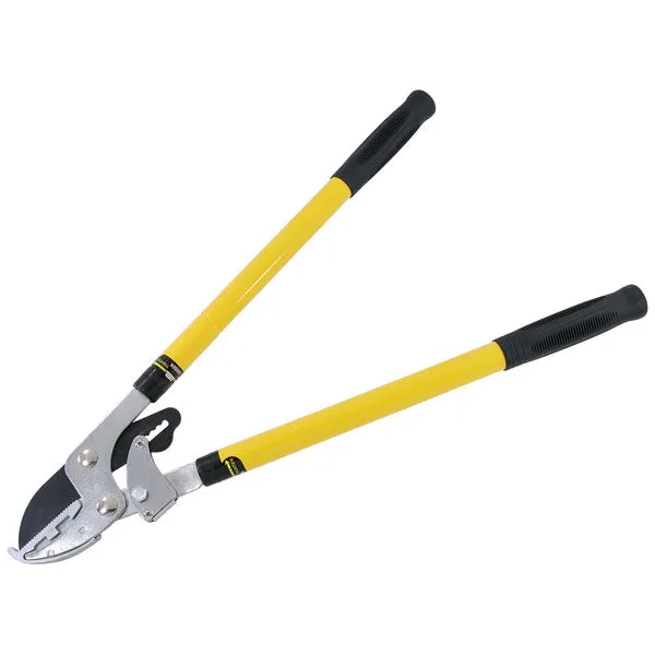 CT3462 - Telescopic Ratchet Tree Lopper