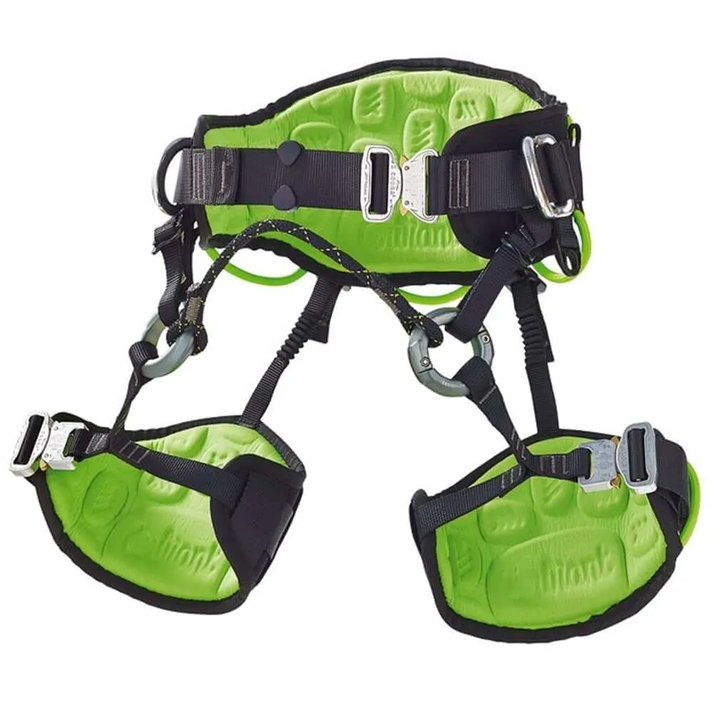 Courant Koala Tree Surgeon Harness | FREE UK Delivery