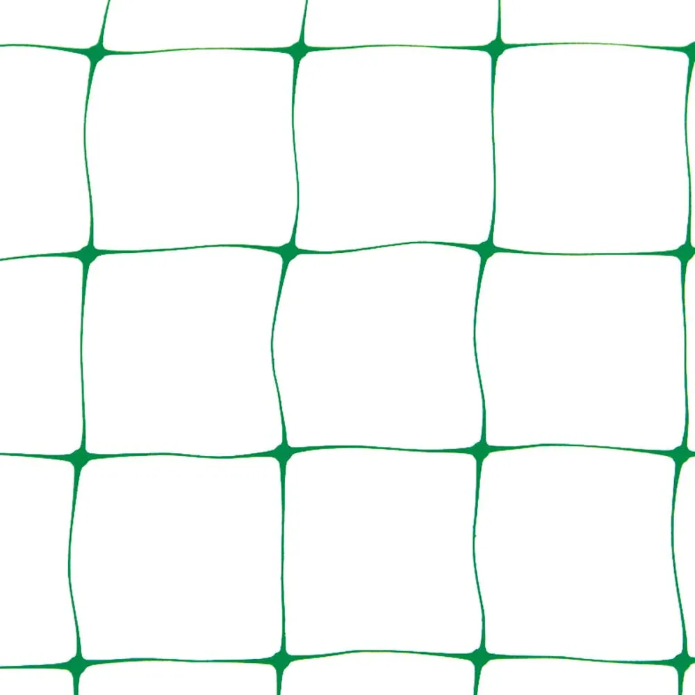 Pea & Bean Netting - 2m x 10m