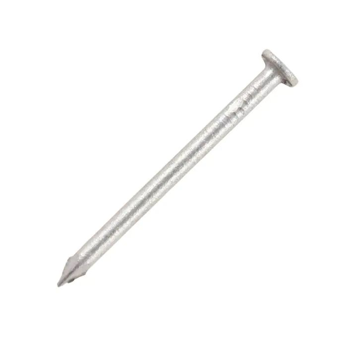 100mm Galvanised Round Head Nails 2.5Kg  Grw100T