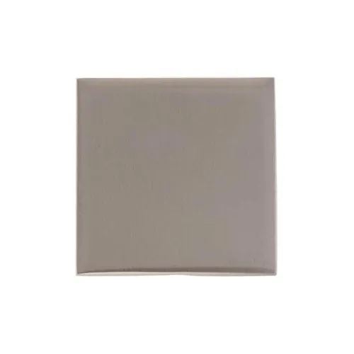 Winchester Range-Satin Nickel-Single Blank Plate