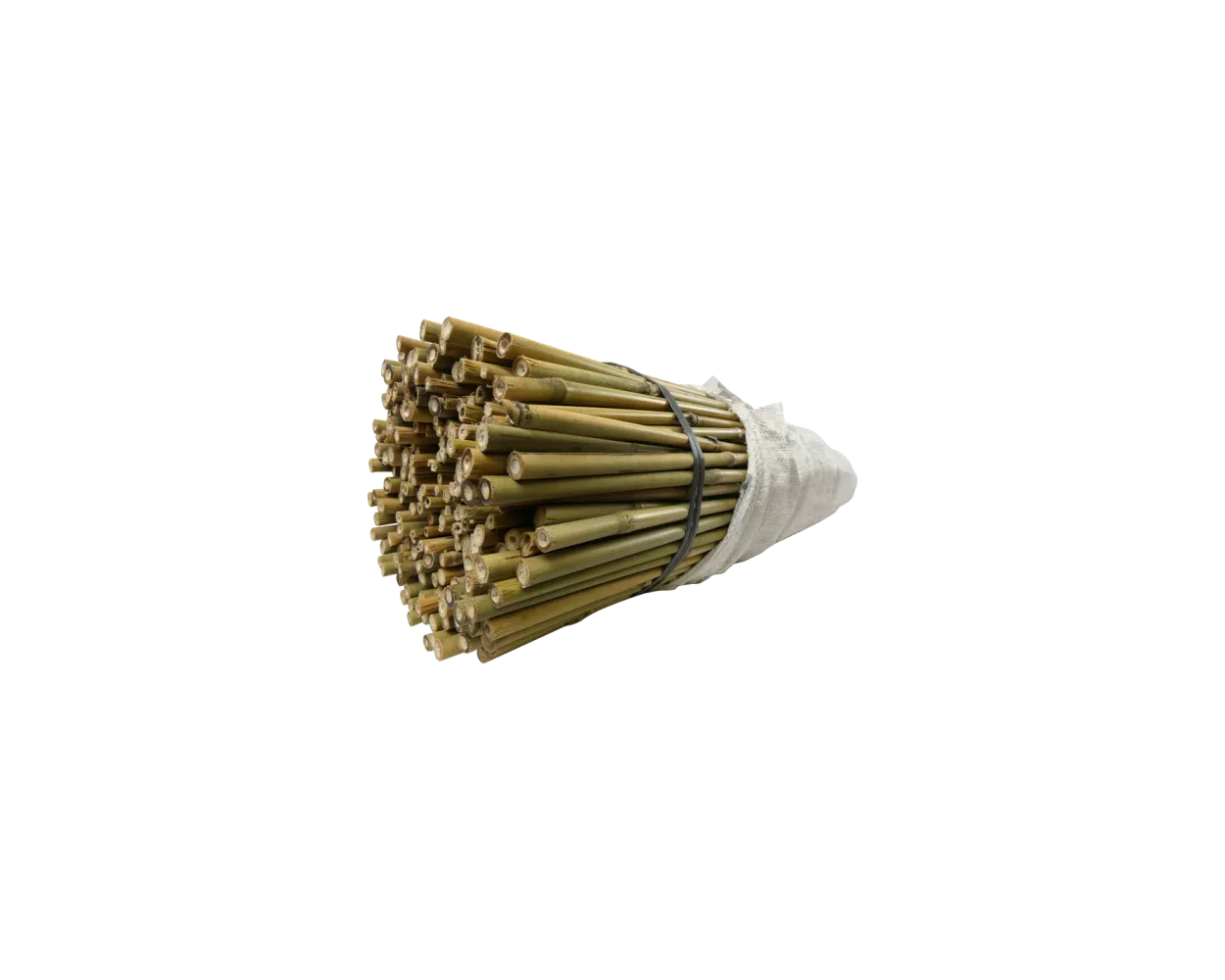 4ft Bamboo Cane, 18/20 lbs, Pack of 250