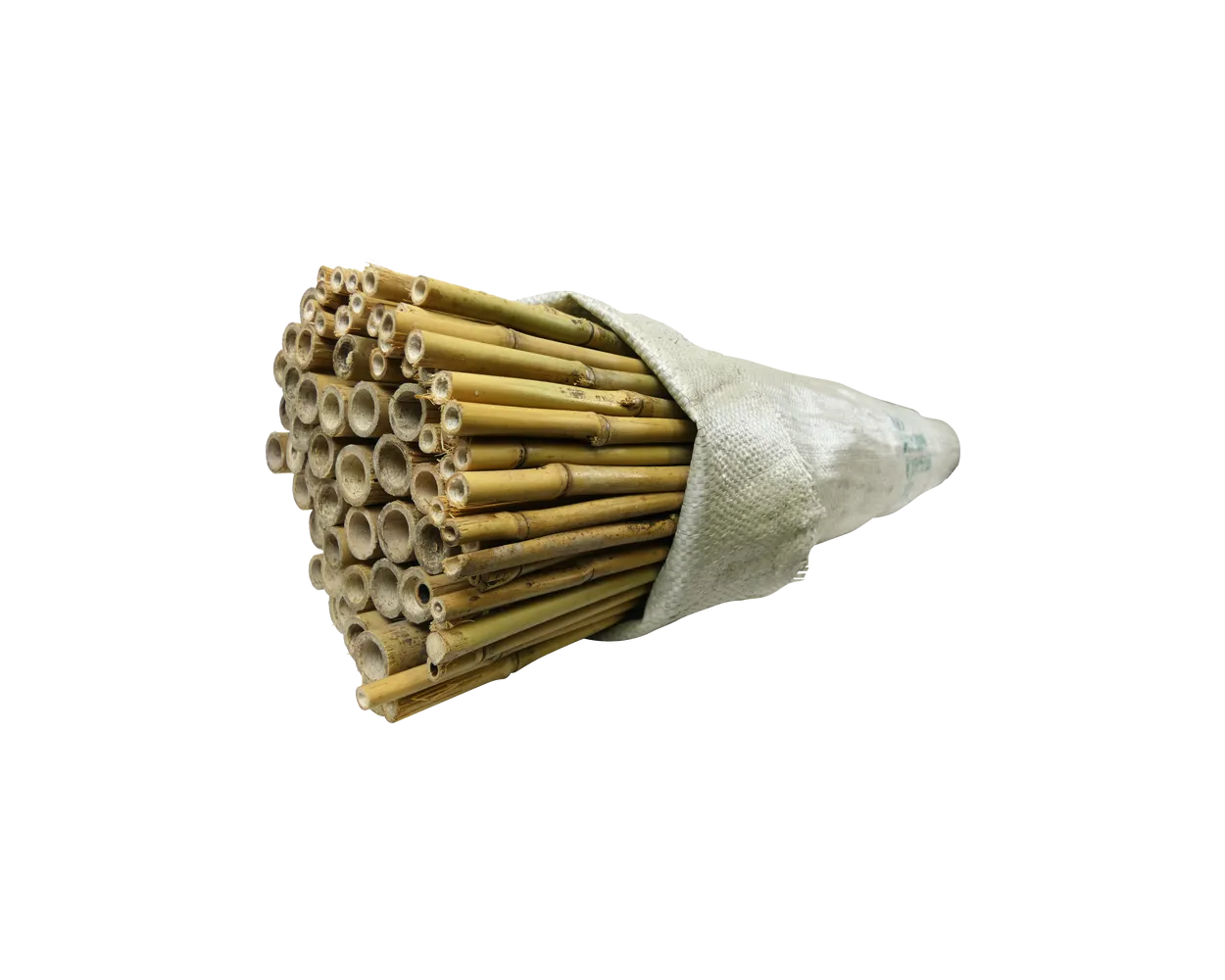 8ft Bamboo Cane, 50/55 lbs, Pack of 100