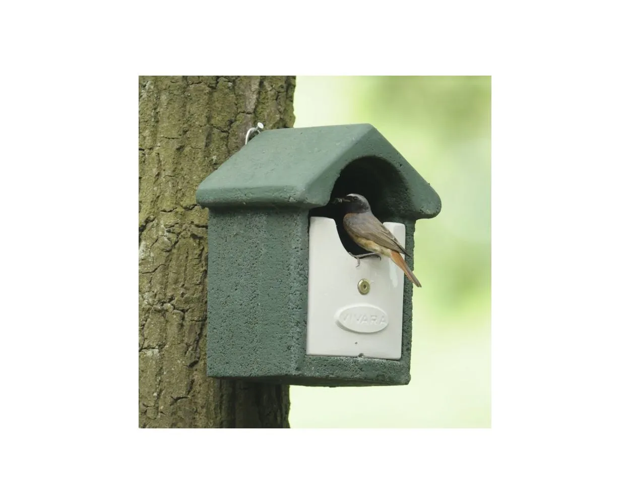 Barcelona Open Nest Box