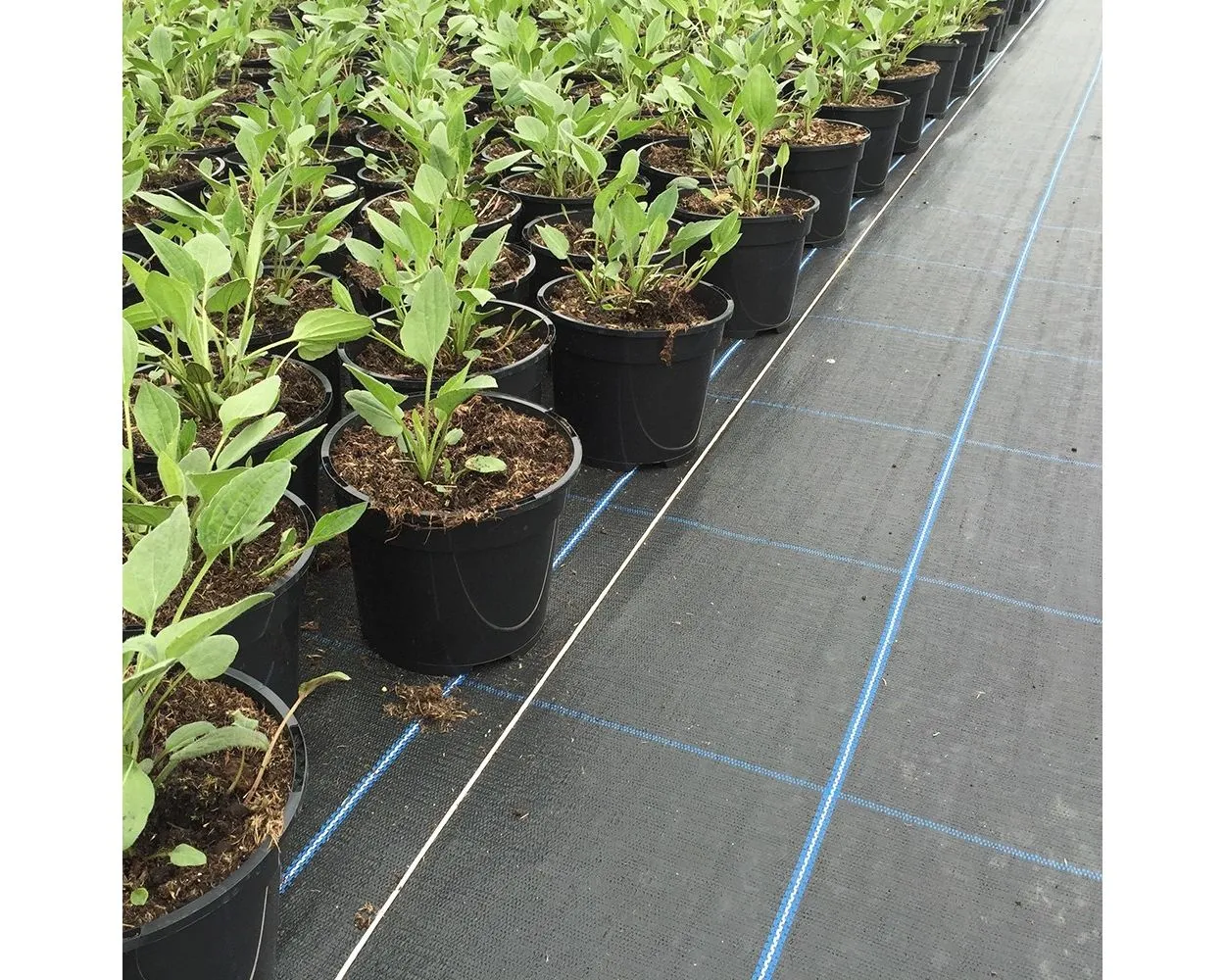 Woven Geotextile Fabric, Black, 100gsm, 1m Wide x 100m Roll