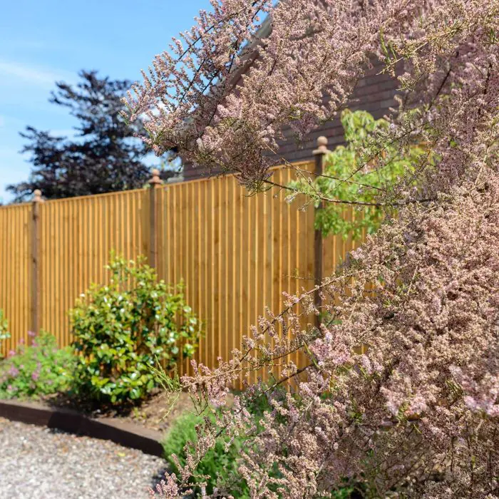 1.83Mx1.8M Grange Vertical Fe Fence Panel Sfep6v PEFC