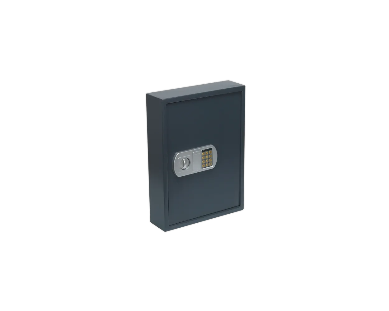 Sealey Electronic Key Cabinet 100 Key Capacity